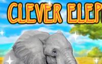 Clever Elephant