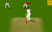 Virtual Cricket