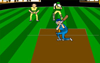 Virtual Cricket 2